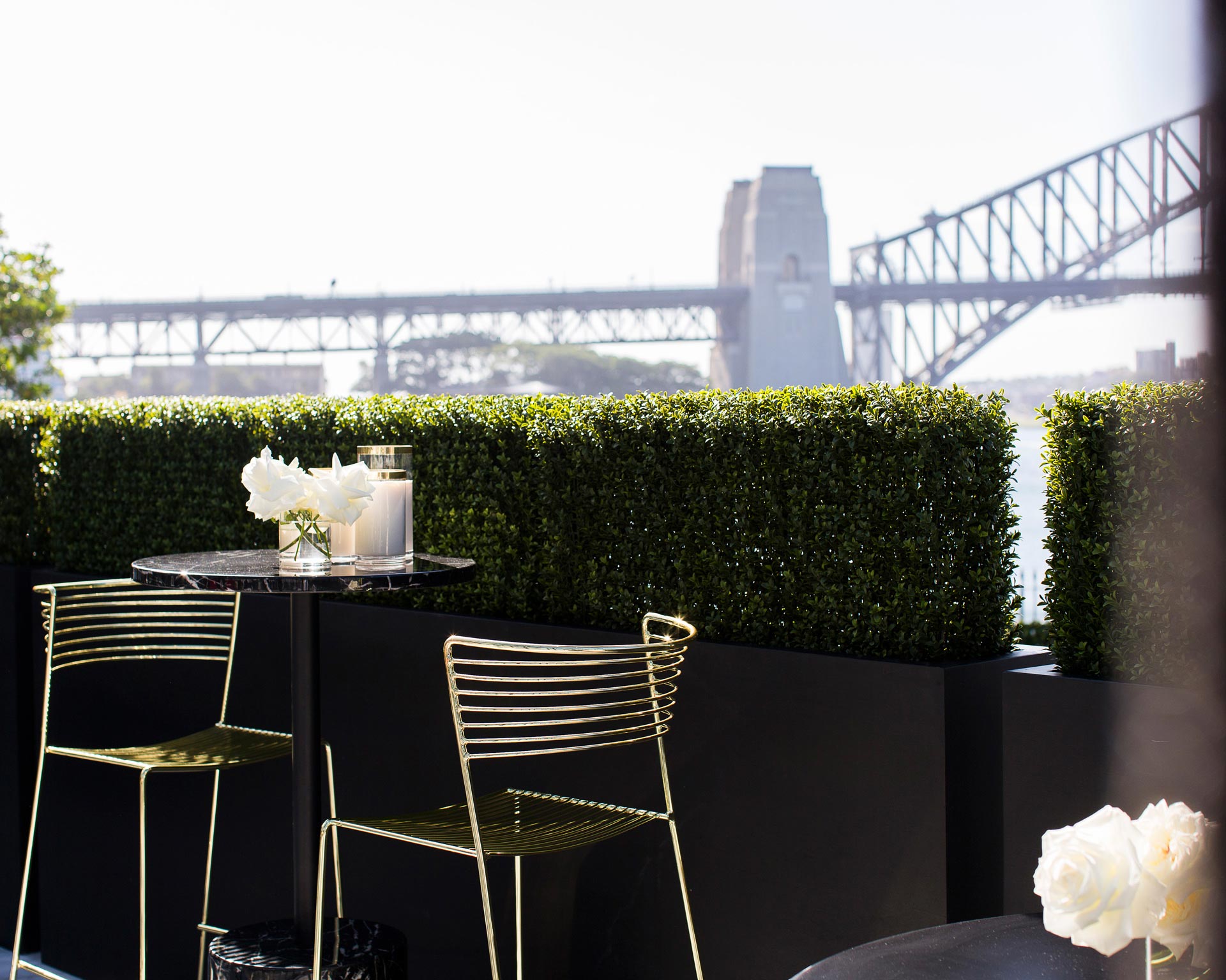 The-Glass-House-Atrium-Wedding-Royal-Botanic-Gardens-Sydney-Harbour-Bridge-2018-HR-91